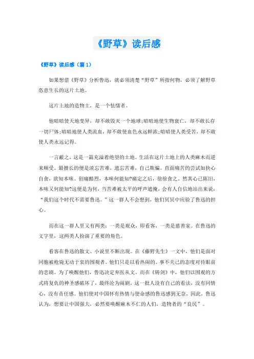 《野草》读后感