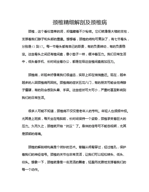颈椎精细解剖及颈椎病