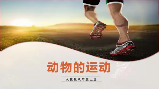 人教版生物八年级上册5.2.1《动物的运动》课件