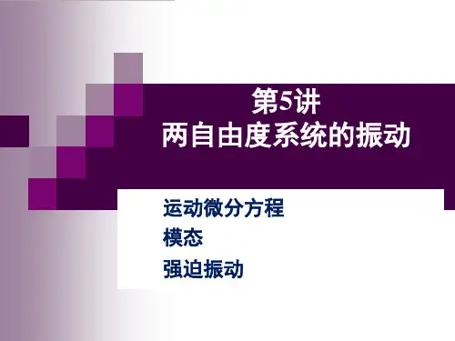 第5讲 两自由度系统的振动