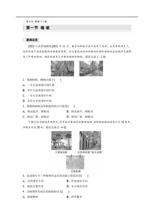 2024-2025学年试题地理(人教版2019)第五章 第一节 植被