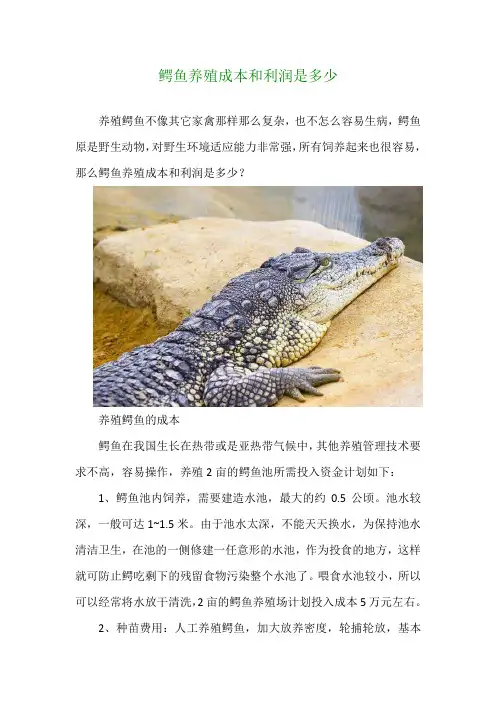 鳄鱼养殖成本和利润是多少