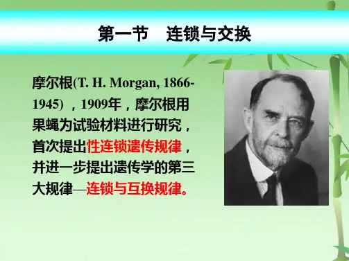第四章 连锁遗传和性连锁(共99张PPT)