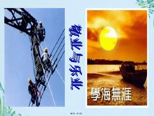 敬业与乐业(共11张PPT)