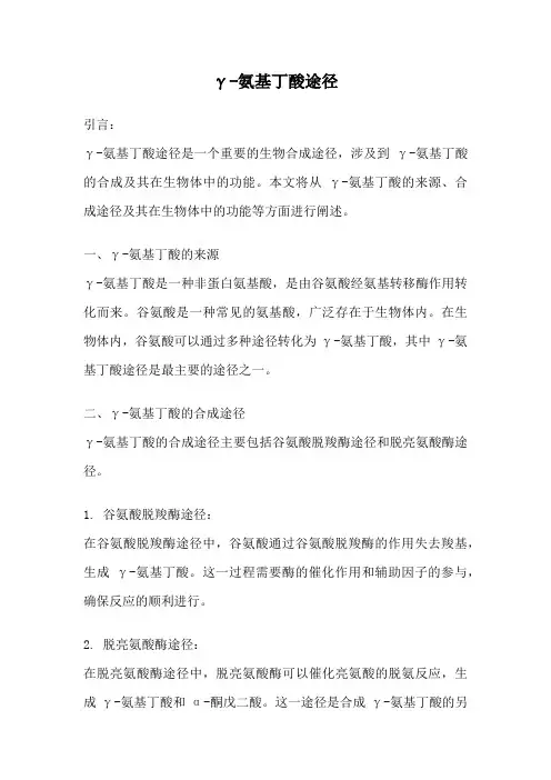 γ-氨基丁酸途径