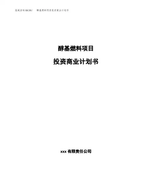 醇基燃料项目投资商业计划书范本(投资融资分析)