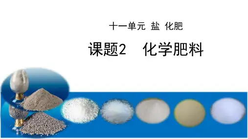 《化学肥料》PPT免费课件