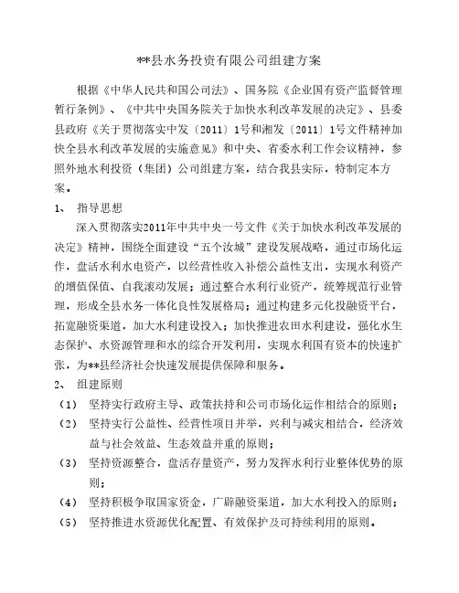 水务投资有限公司组建方案