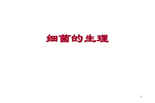细菌生理ppt课件