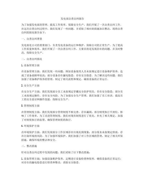 发电部自查自纠报告