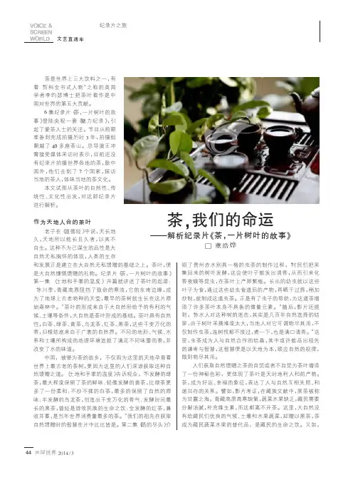 茶,我们的命运--解析纪录片《茶,一片树叶的故事》
