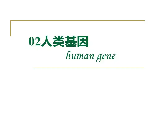 02人类基因