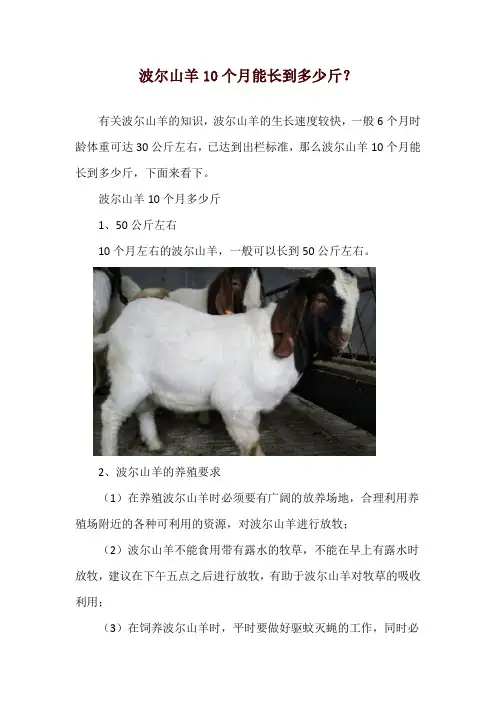 波尔山羊10个月能长到多少斤？