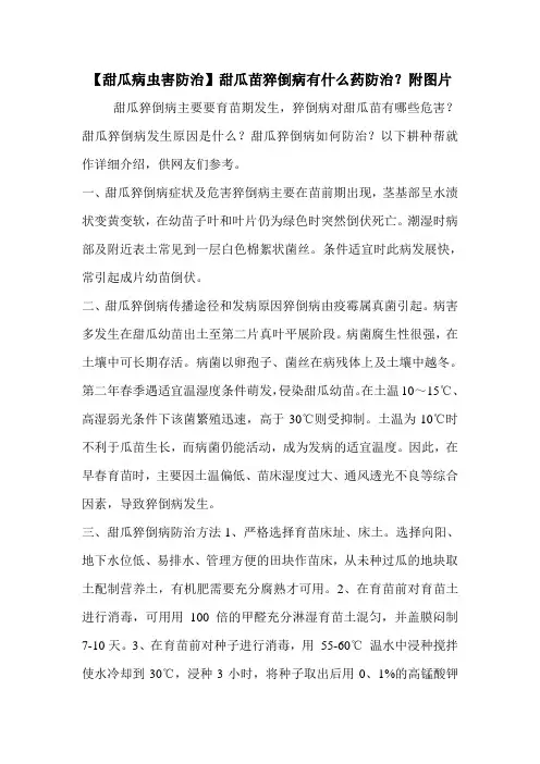 【甜瓜病虫害防治】甜瓜苗猝倒病有什么药防治？附图片