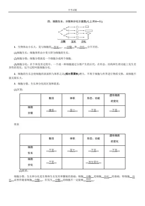 四、细胞生长、分裂和分化示意图(七上P30—31)