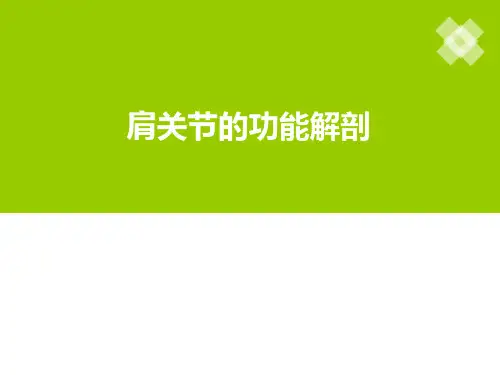 肩关节功能解剖幻灯片课件