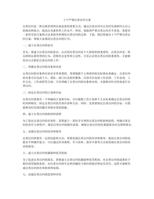十个严禁自查自纠方案