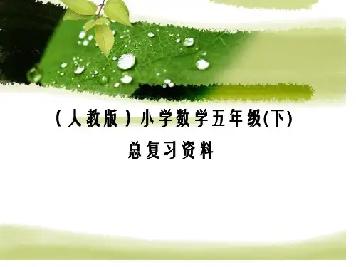 小学数学五年级下册总复习全部(人教版)市公开课获奖课件省名师示范课获奖课件