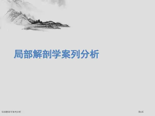 局部解剖学案列分析