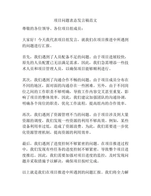 项目问题表态发言稿范文