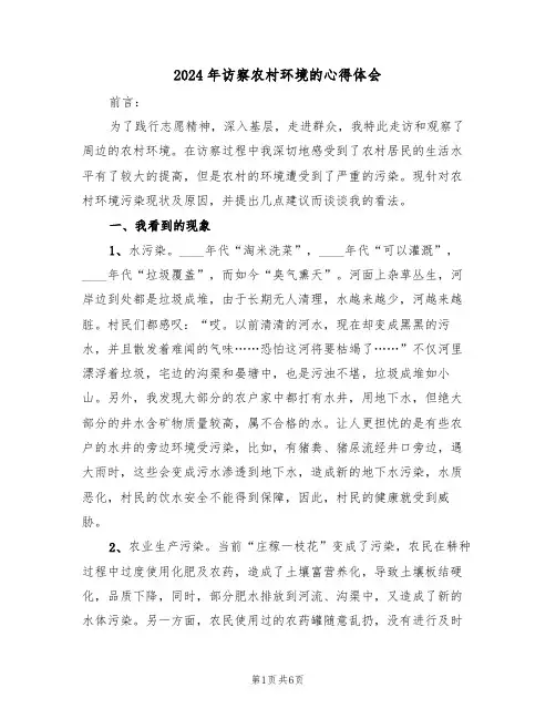 2024年访察农村环境的心得体会(2篇)