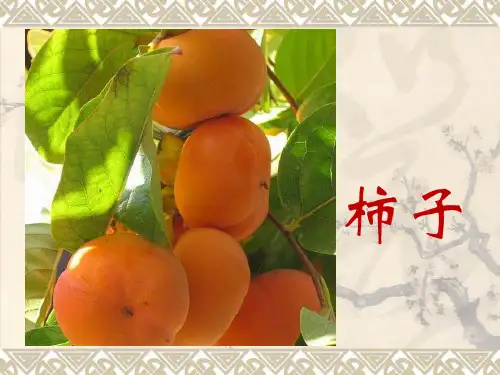 柿子少儿国画水墨美术PPT课件.