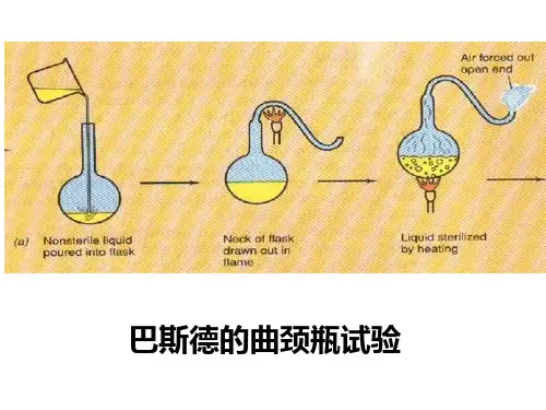 果酒果醋的制作24761共28页