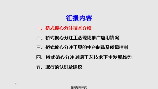 桥式偏心分层注水工艺技术汇报