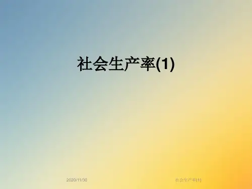 社会生产率(1)