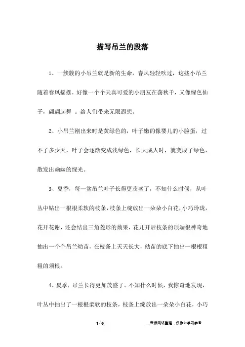 描写吊兰的段落