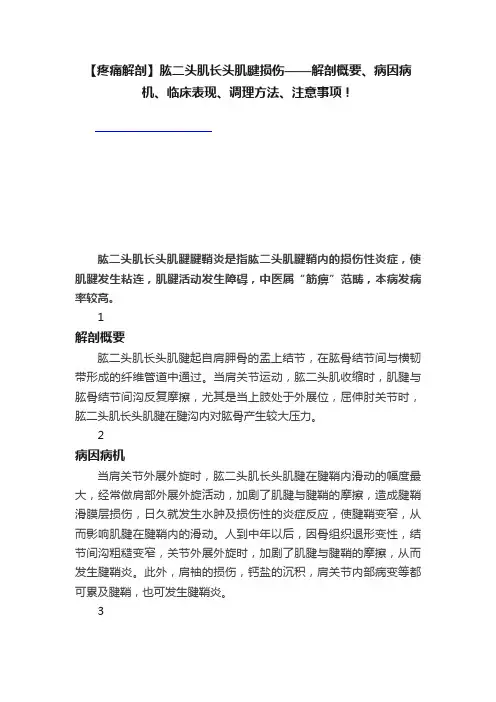 【疼痛解剖】肱二头肌长头肌腱损伤——解剖概要、病因病机、临床表现、调理方法、注意事项！