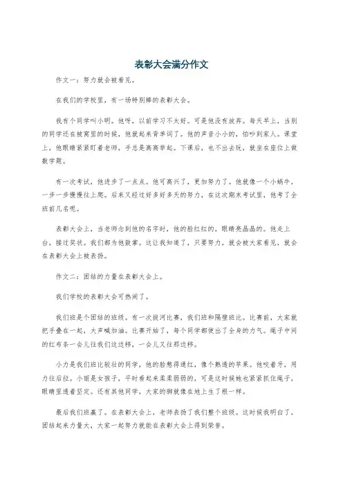表彰大会满分作文