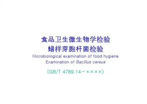 食品卫生微生物学检验蜡样芽胞杆菌检验