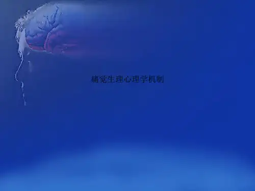 痛觉生理心理学机制
