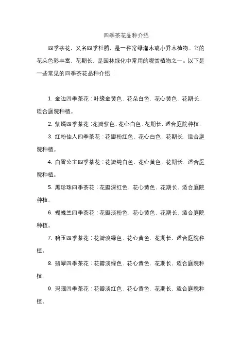 四季茶花品种介绍