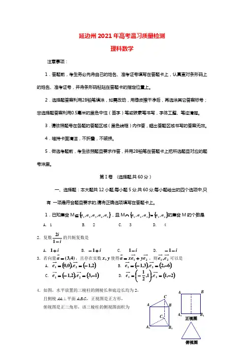 吉林省延边州2021届高三数学下学期质量检测试题理