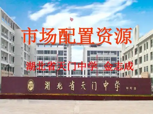 市场配置资源
