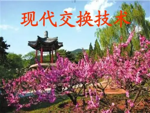 第三章 信令系统