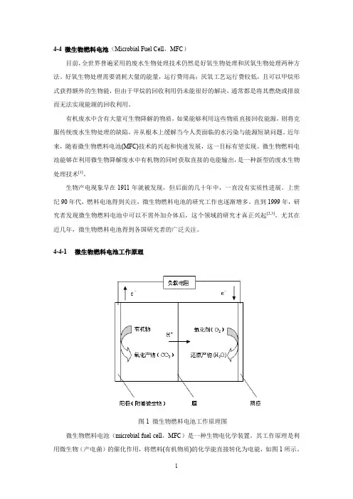 微生物电池