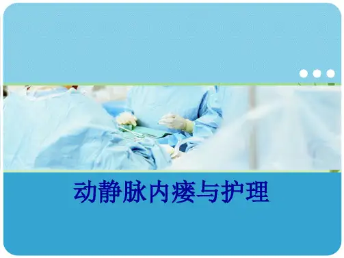 动静脉内瘘(共52张PPT)