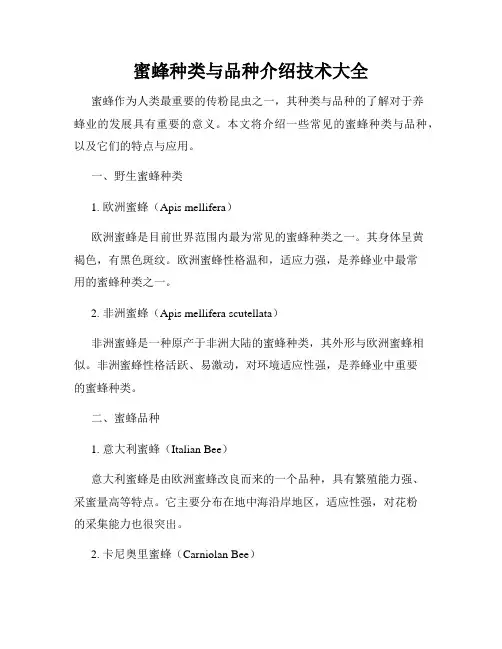 蜜蜂种类与品种介绍技术大全