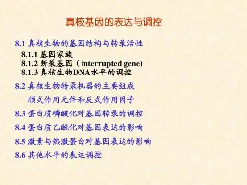 真核基因表达调控