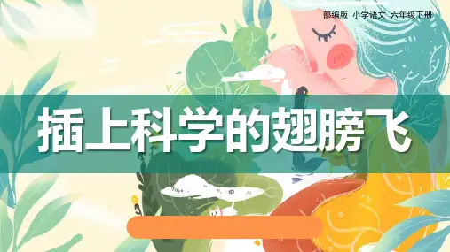 《插上科学的翅膀飞》精品优质完整教学PPT课件(精选3篇)