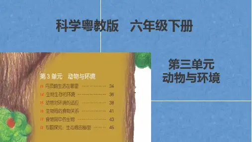 粤教版科学六年级下册第三单元《动物与环境》课件