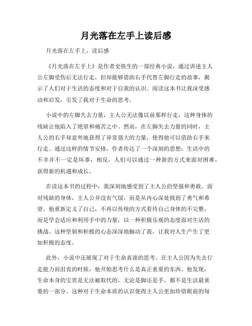 月光落在左手上读后感