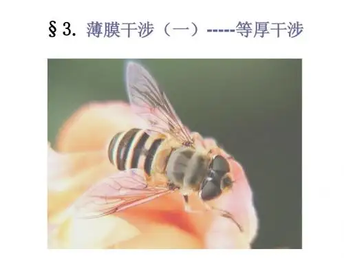 光学第三章2