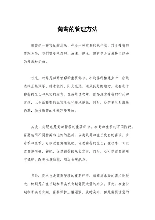 葡萄的管理方法