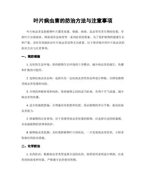 叶片病虫害的防治方法与注意事项