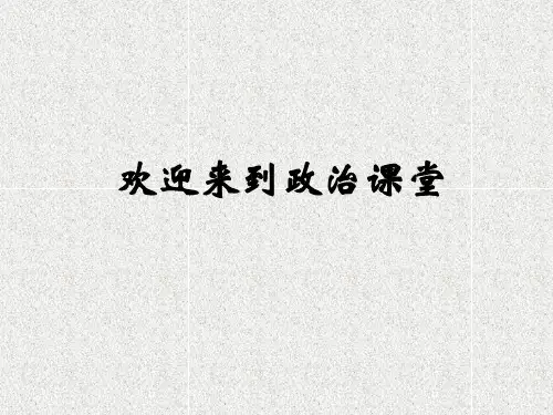 人教版高中政治必修一课件：第三课 多彩的消费