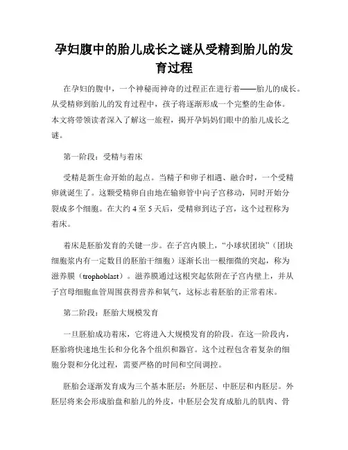 孕妇腹中的胎儿成长之谜从受精到胎儿的发育过程